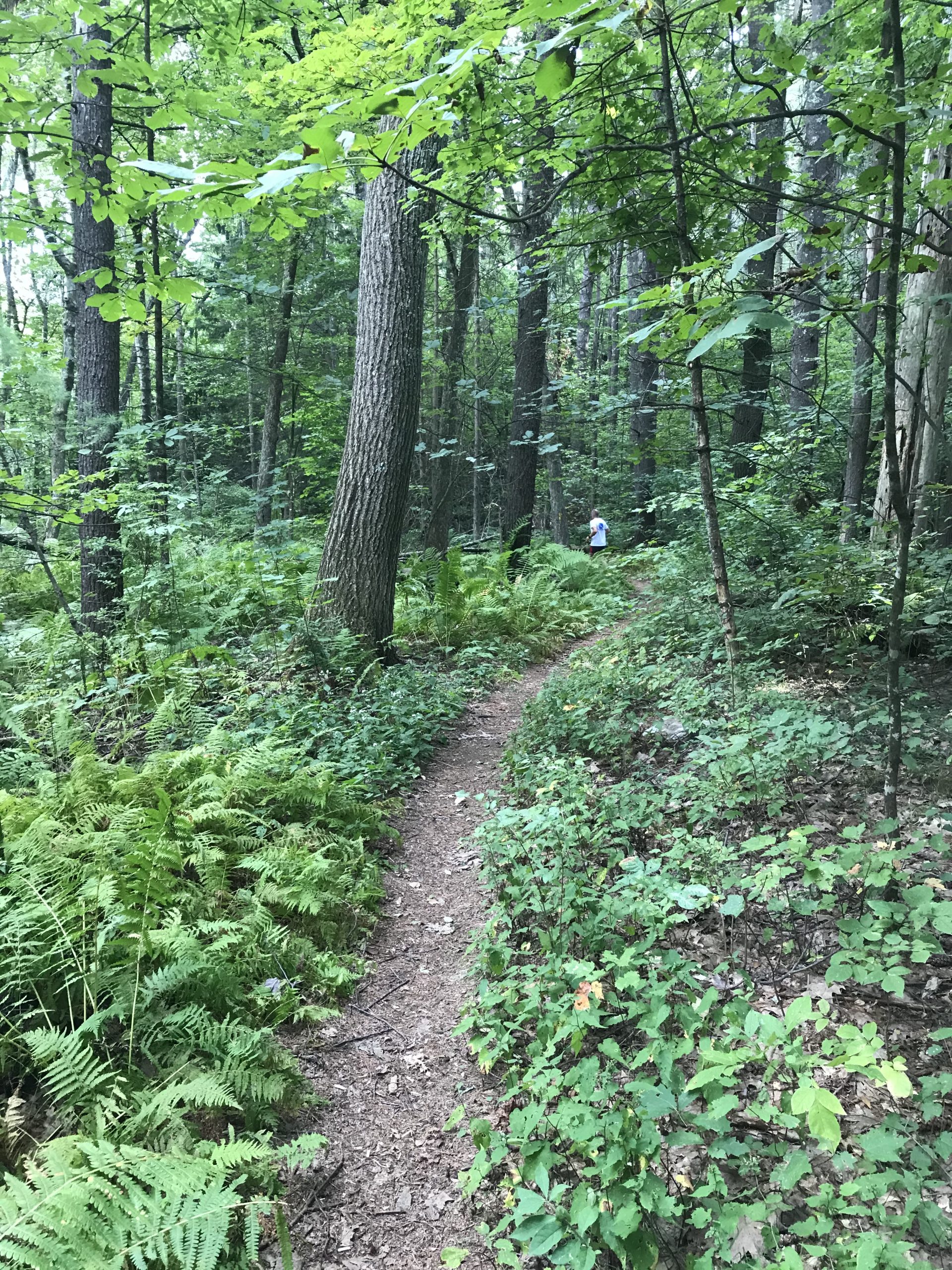 Holy Hill 1