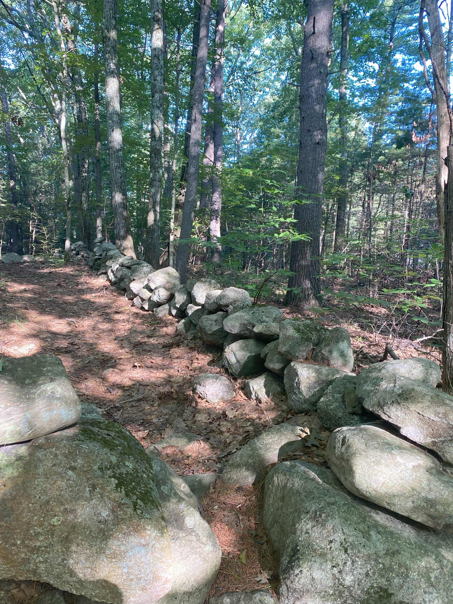 Ohlin trail