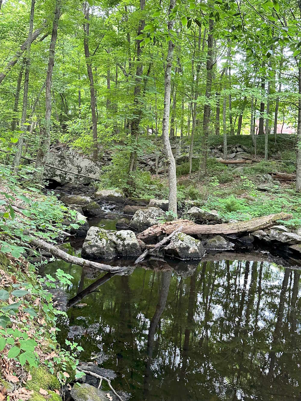 Pin Hill