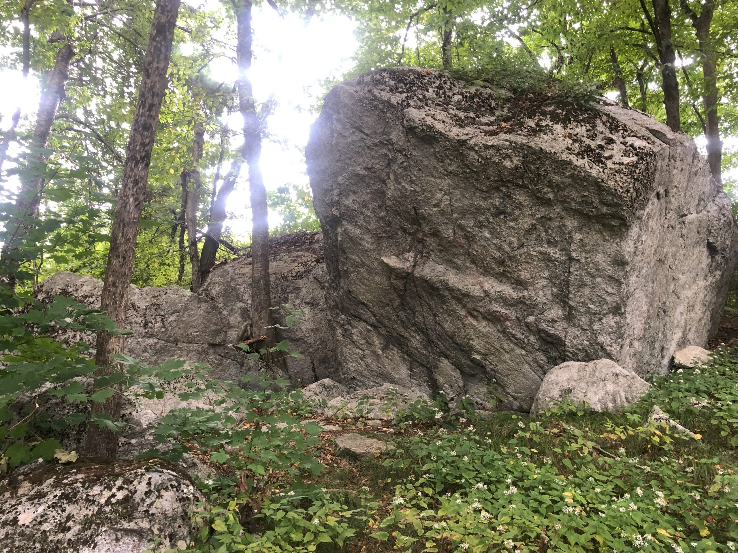 Williams Trail