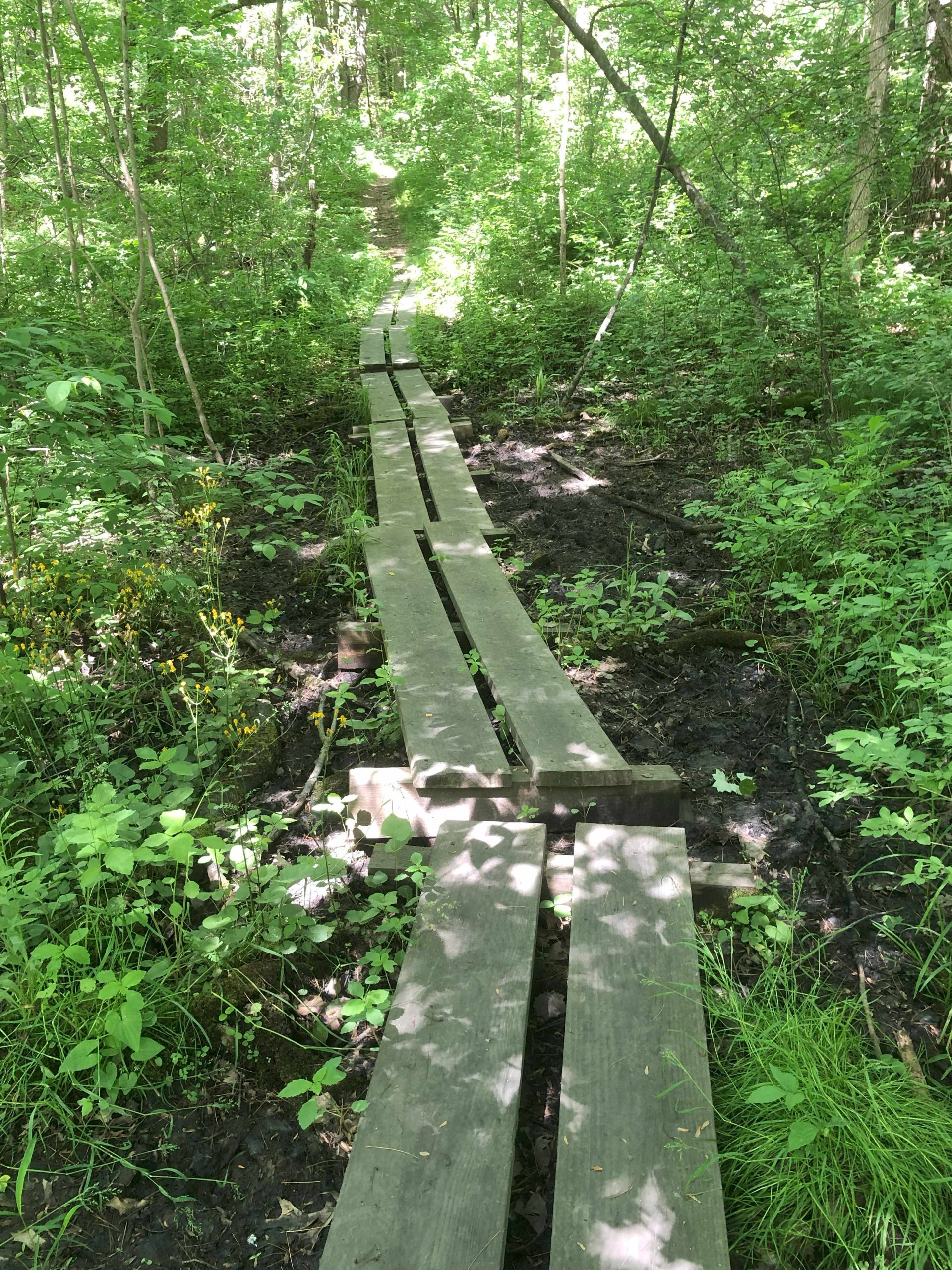 Barba Trail