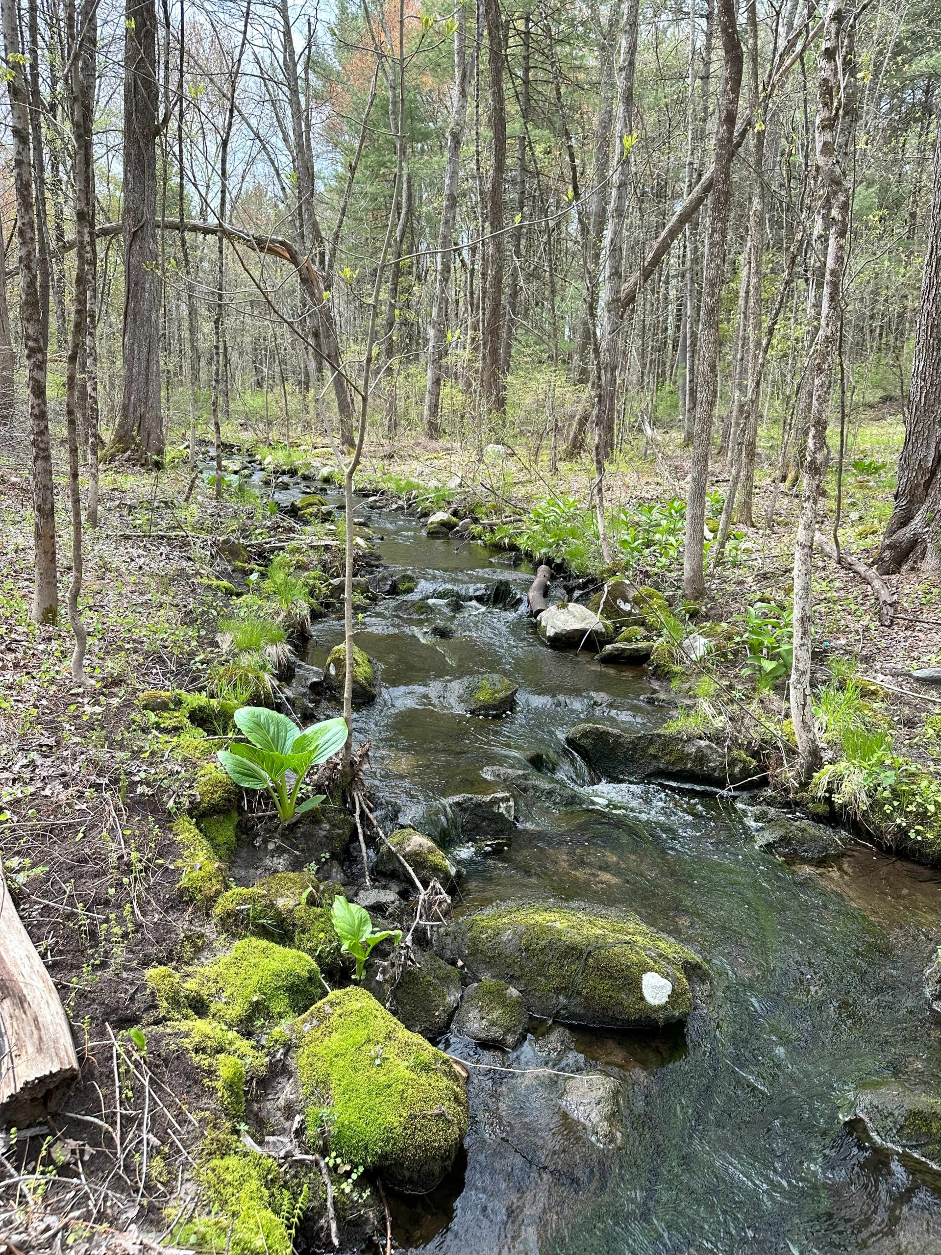 Coke Trail