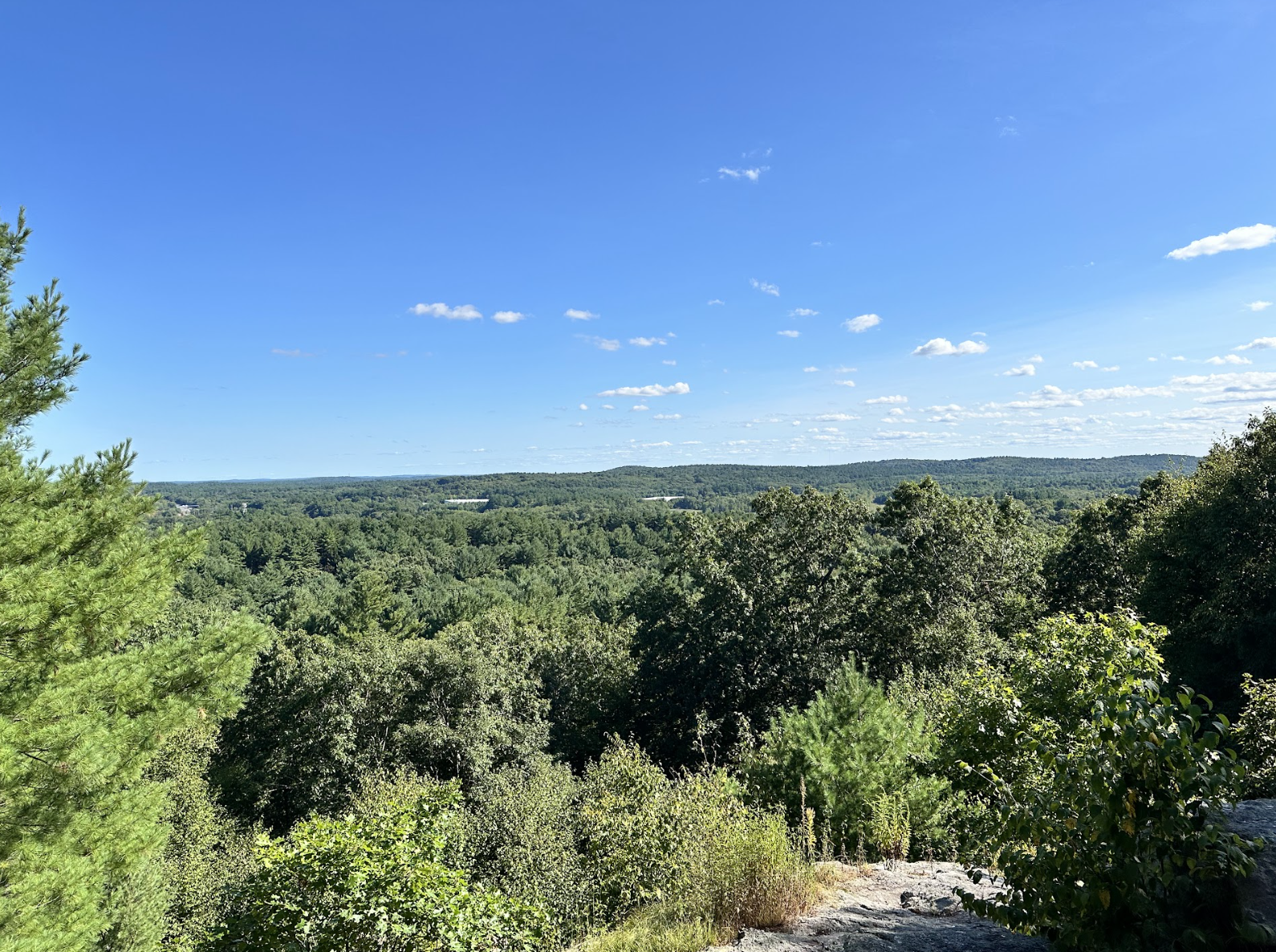 Oak Hill Littleton.3