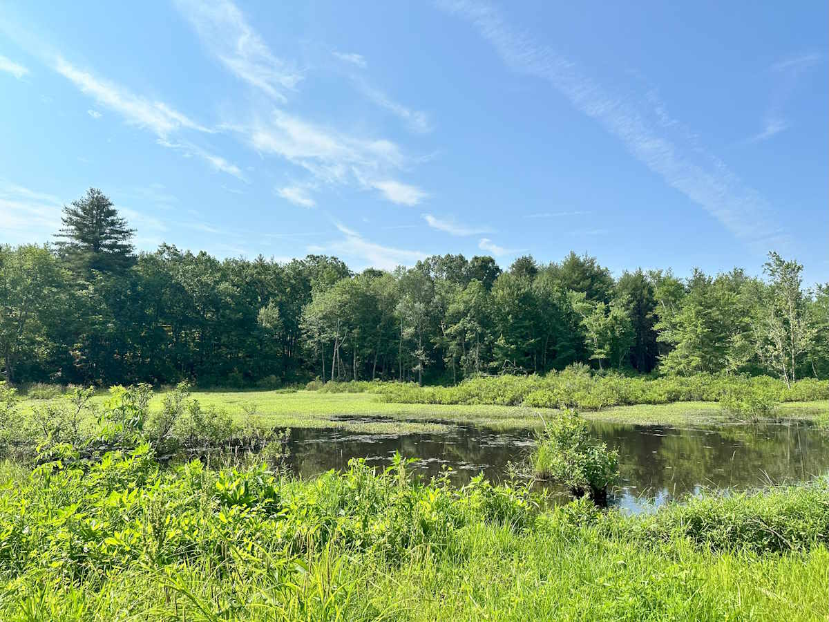 Oxbow Trail