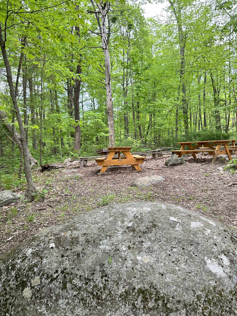 Small Nature Trail