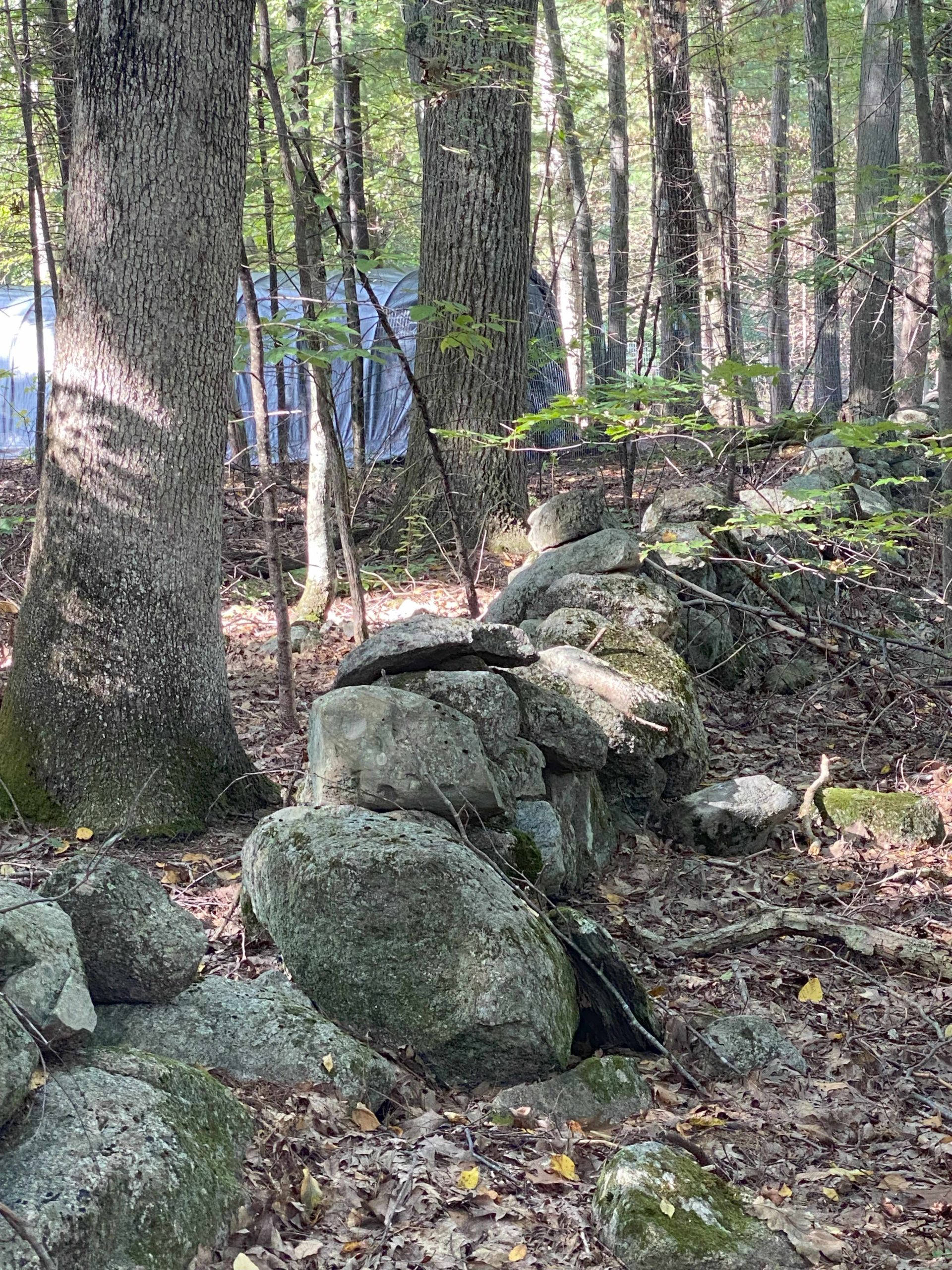 West Oak Trail