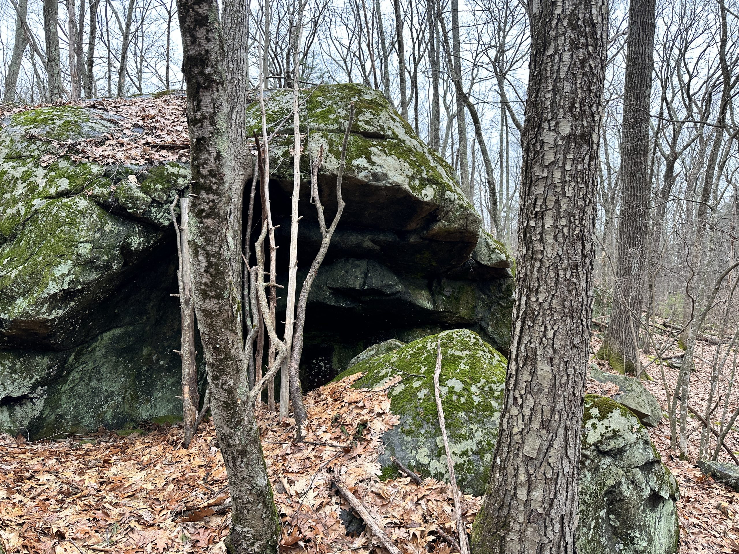 Willard Poirtras Trails