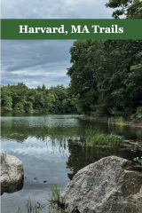 Screenshot 2025-10-09 at 5.37.19 PM